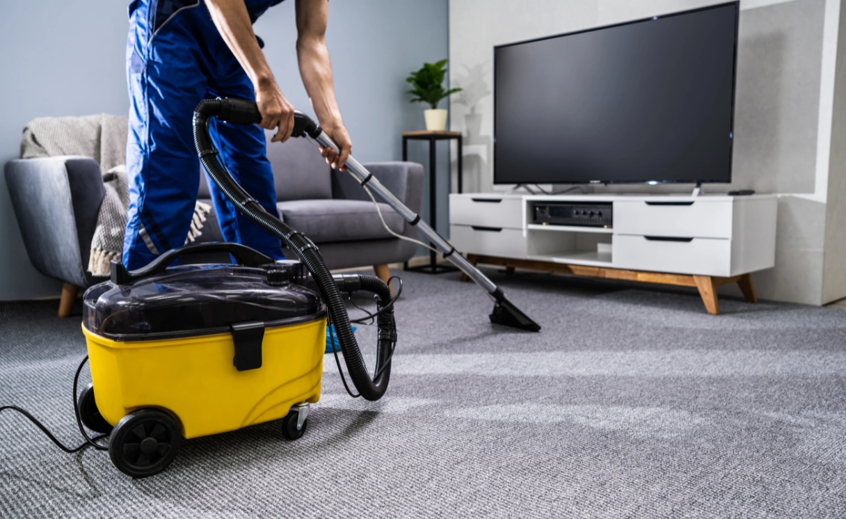 Extract End of Lease Cleaning North Shore Contact Office